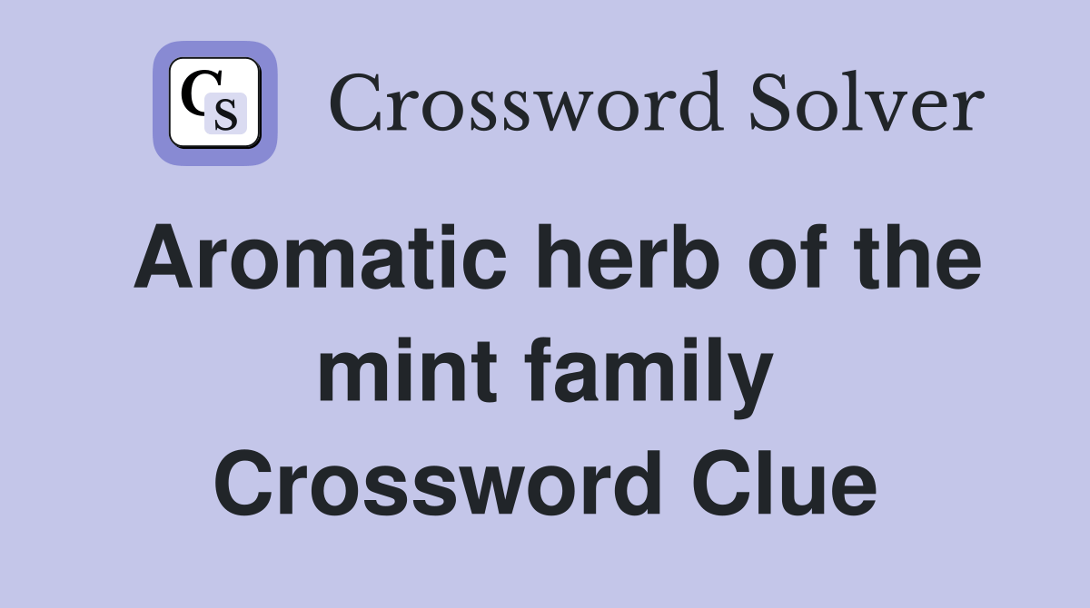 Aromatic herb of the mint family Crossword Clue Answers Crossword
